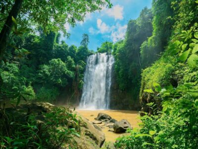 BẢO LỘC - LINH QUY PHÁP ẤN - ĐỒI CHÈ KINH LỘ - THÁC BOBLA - TRANH BƯỚM 3N2Đ